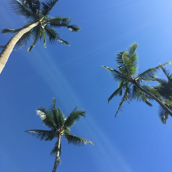 bigaloha